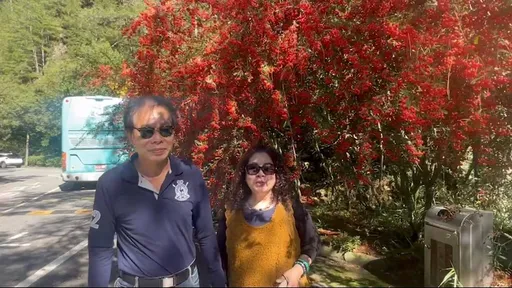 武陵農場火刺木「紅寶石」迎賓 網紅搶打卡、珍鳥來偷吃