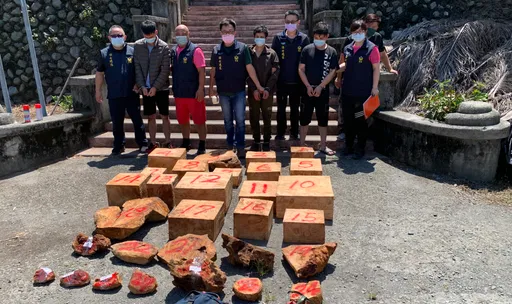 检警连破2起盗木集团 阻521公斤珍贵木材流入市面