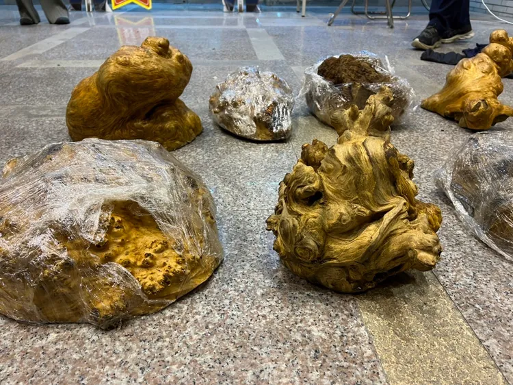 警方成功扣得珍貴木材。檢方提供