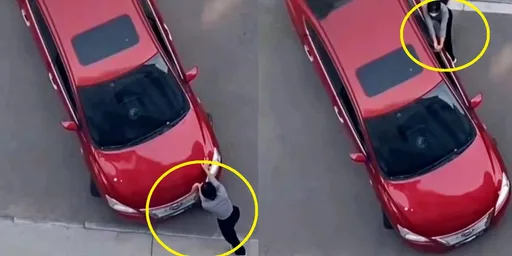 很多雞腿換駕照?大媽「人力停車法」硬來 用手推車進停車格