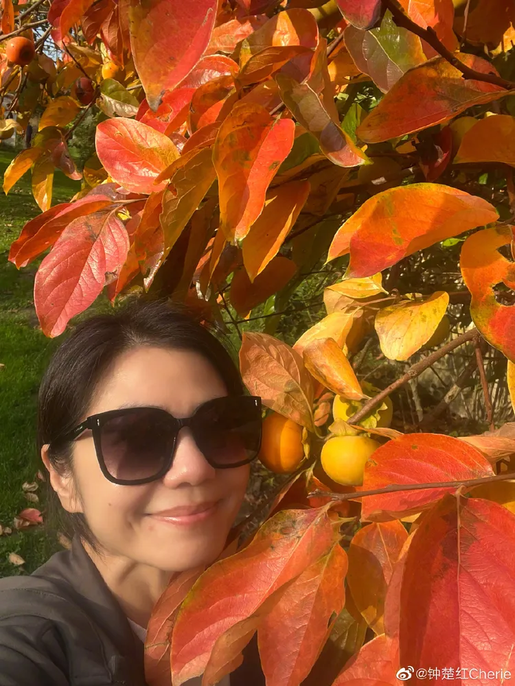 鍾楚紅62歲依然保養得宜。翻攝自鍾楚紅微博
