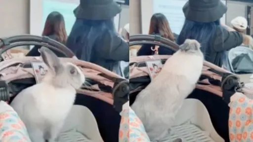 妹子上課藏亮點!賣萌專家「站起睜大眼」 網全融化:太搶鏡