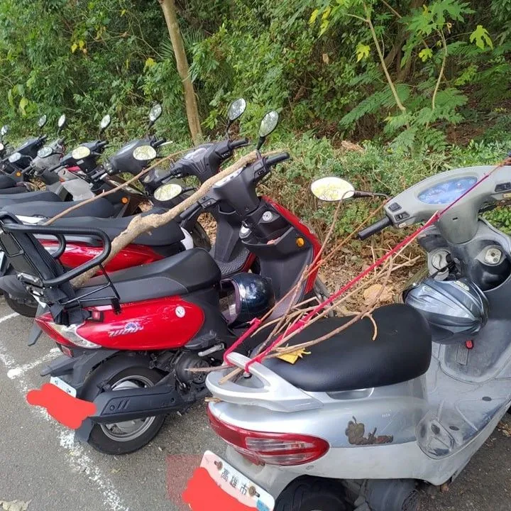 停在柴山登山路口機車,常被放置木條來防猴子。翻攝自臉書高雄大小事