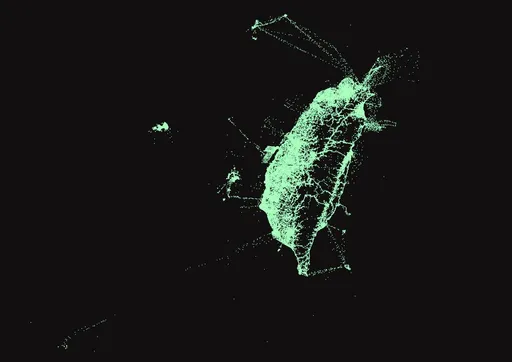 破5400位鳥人踏16萬地點　以行動軌跡點亮台灣