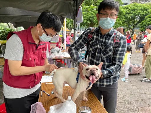新北動保處鼓勵毛孩施打狂犬病疫苗 年底前完成還可抽600元郵政禮卷