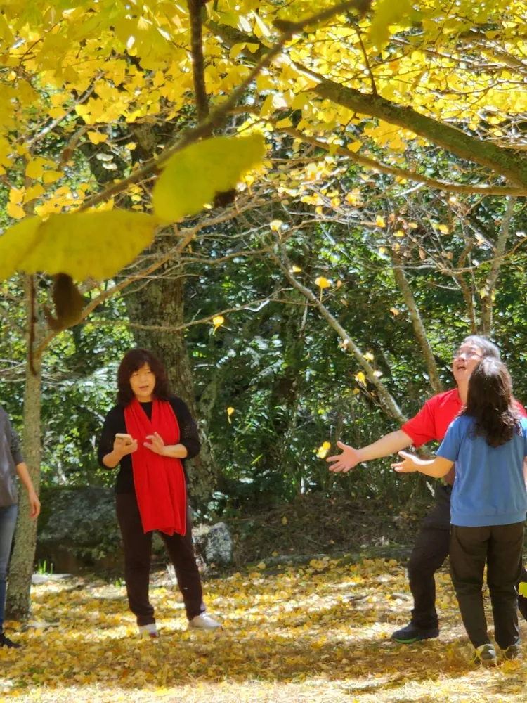 遊客興高采烈的在銀杏樹下欣賞美景。民眾提供