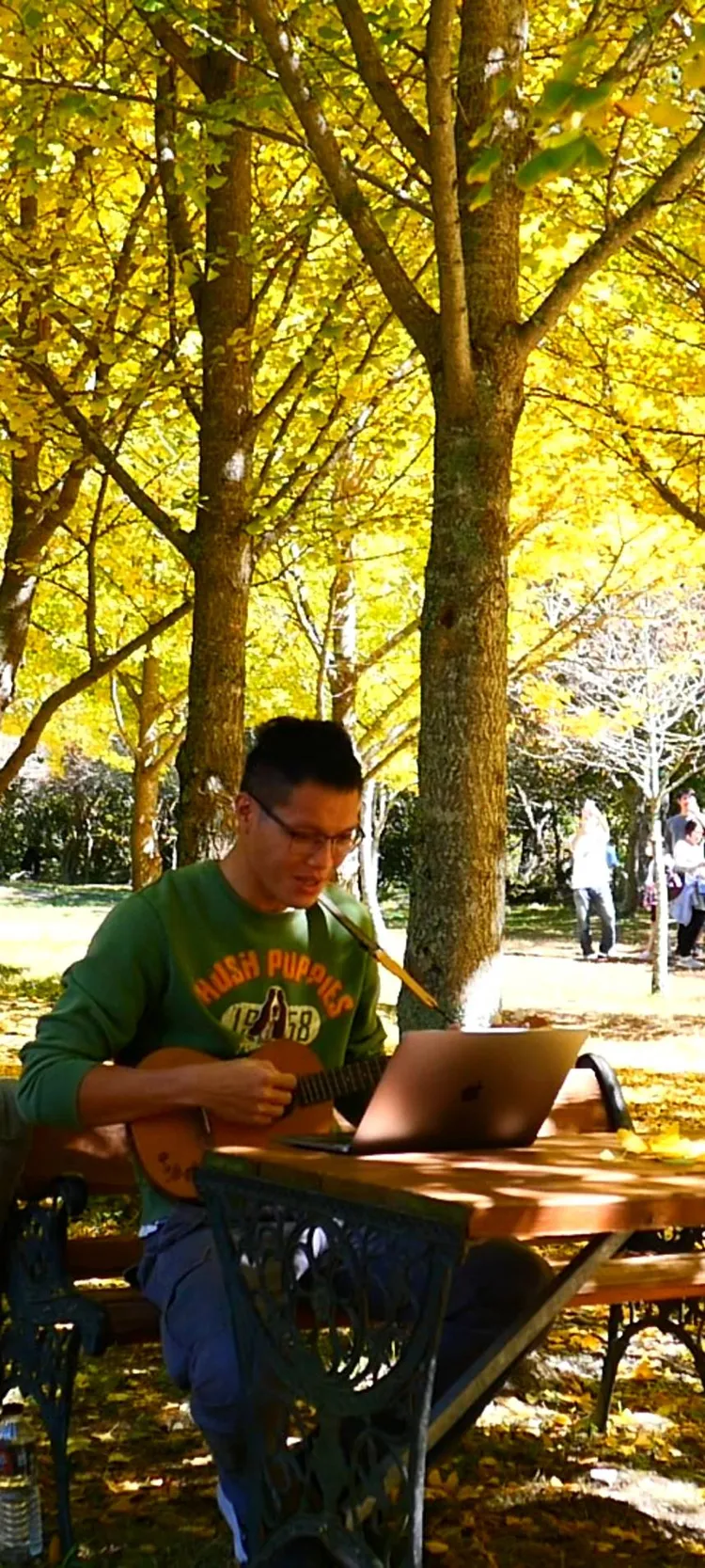 今日就有遊客開心的拿著烏克麗麗在金黃色的銀杏樹下彈奏。民眾提供