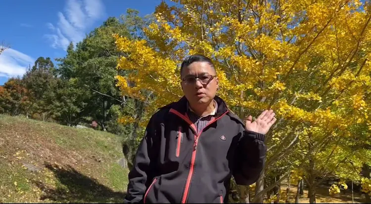 副廠長胡發韜表示，至11月底世賞杏最佳時節。民眾提供