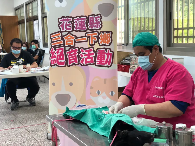 獸醫師幫毛孩結紮。花蓮縣政府提供