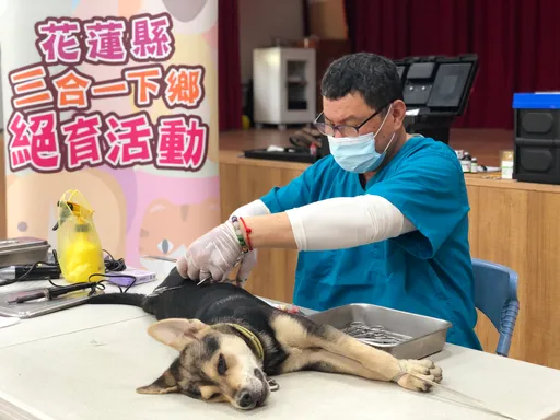 「毛」起來做源頭減量 花蓮縣府提供免費犬貓三合一