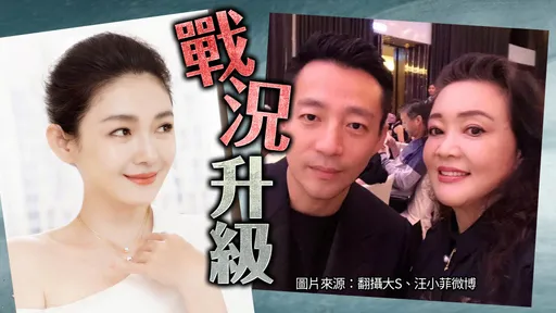 獨家｜S媽怒抖張蘭人身攻擊徐家半小時　曝大汪離婚條件