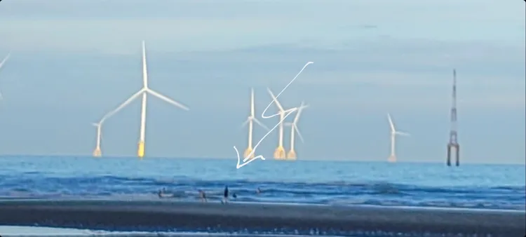 箭頭所指處為菲律賓籍移工與友人戲水處。讀者提供