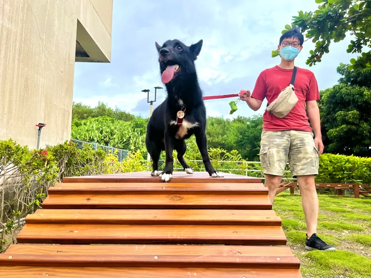 狗老大或是貓老大也能跟著「奴隸們」，一起到台灣南端享受碧海藍天並能同房住宿。業者提供