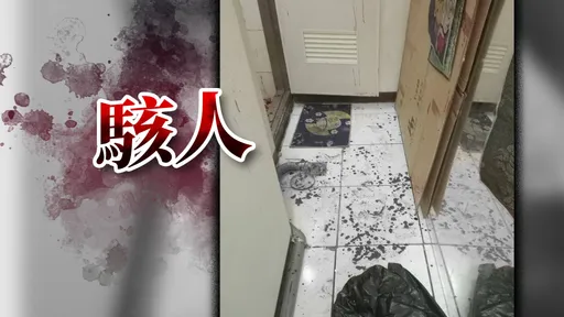 找不到前妻大暴走！　嘉義男持刀怒砍老闆夫妻「血濺檳榔攤」