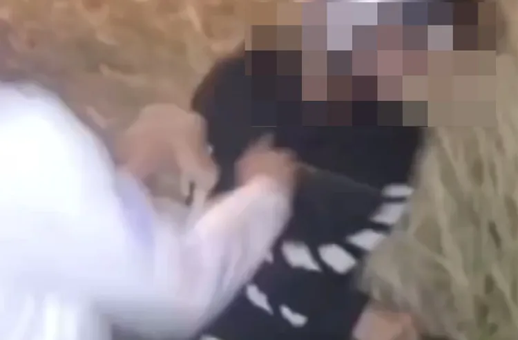 被害少年（穿黑衣者）慘遭對方毆打。讀者提供