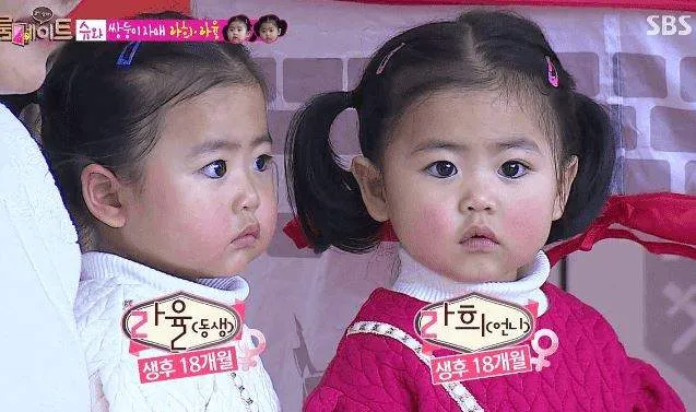 Shoo的雙胞胎女兒羅希（左）和羅律曾紅透半邊天。翻攝SBS