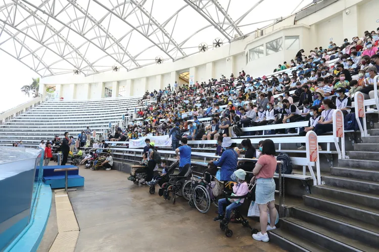 身障學生欣賞海豚表演。花蓮縣府提供