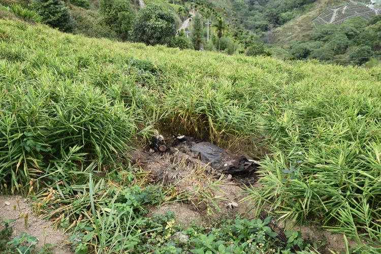 在薑園裡發現全身發黑的屍體。民眾提供