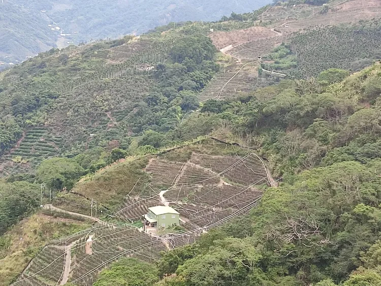 區民代表候選人到偏遠山區拜票，途經工寮附近聞到濃濃屍臭味立即報警。民眾提供