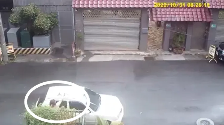 大媽被捕捉到丟垃圾在車上。翻攝爆料公社