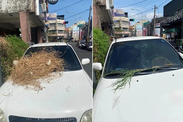 大媽一而再再而三在原PO的愛車上丟垃圾。翻攝爆料公社