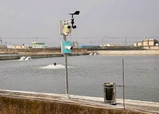 電腦養魚手機顧魚塭 智慧養殖省5成巡視工時