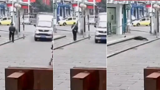 影片|限高桿劃半圈「命中頭部」 他被KO正面倒地不起