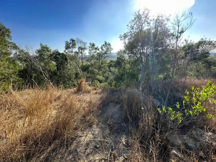 發生登山民眾失足摔死的地點。讀者提供