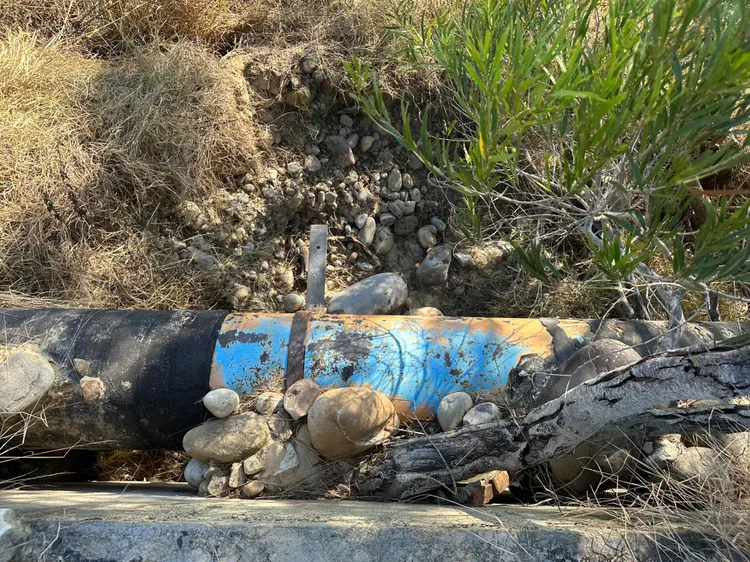 許姓男子被發現地點，距離步道約3米深。讀者提供