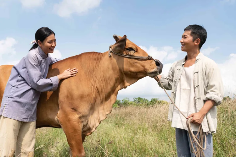 安心亞（左）劇中與牛一起為弟弟蔡昌憲及生活打拼。公視、禾豐製作提供