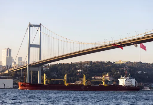 澤連斯基與艾爾段通話 商討出口穀物及運送糧食至非洲