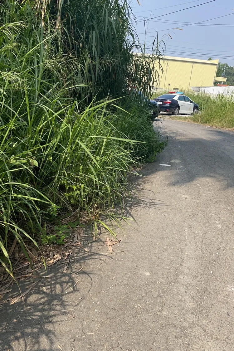 陳屍地點相當荒涼。讀者提供