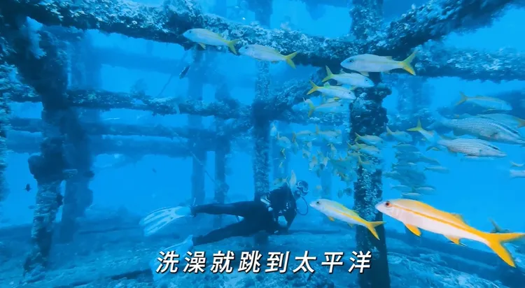 「綻放台東藍」MV內容。翻攝畫面