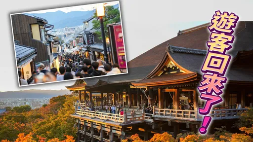 直擊日本|京都假日觀光人潮爆量!世界遺產「清水寺」11月底前開放夜遊