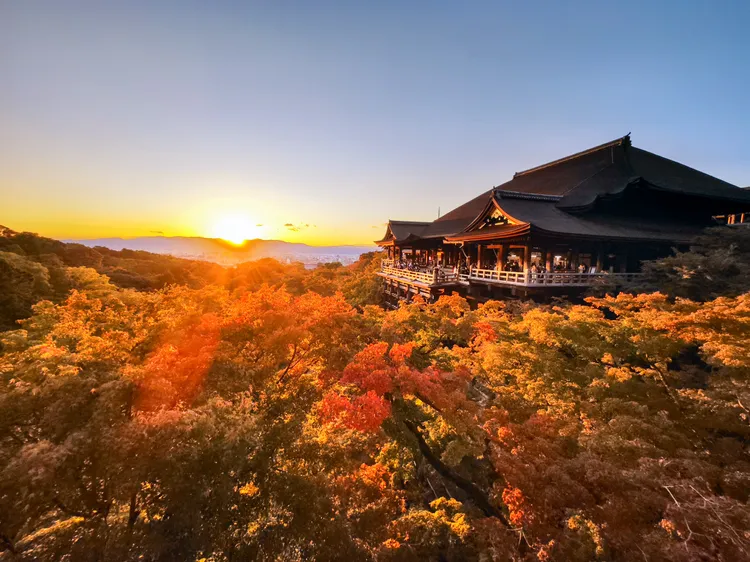 看紅葉團團簇擁著清水舞台，堪稱經典必拍角度。田欣雲攝