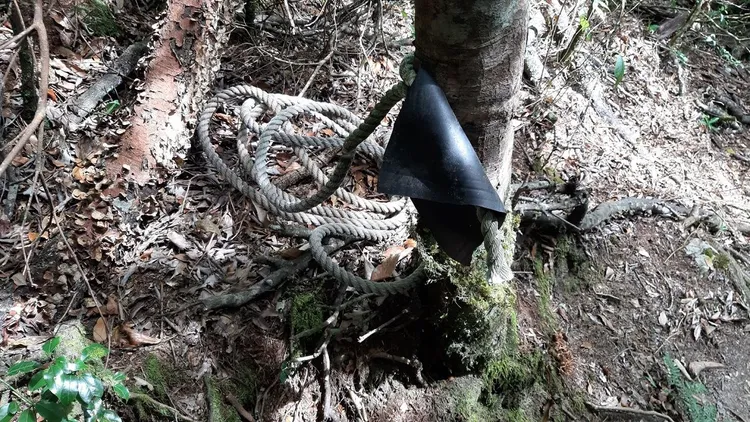 繩索遭割。資料照片