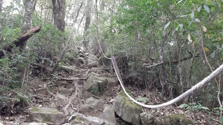 繩索遭破壞。資料照片