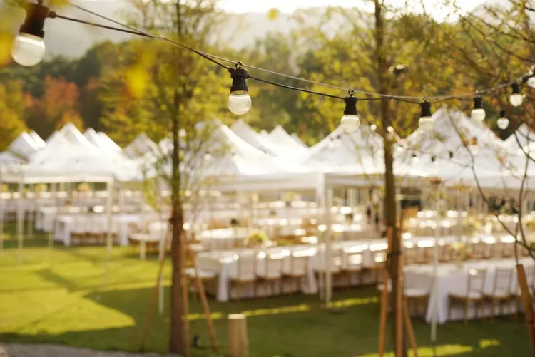 落羽松春夏時的綠與秋冬時的紅都十分迷人。業者提供