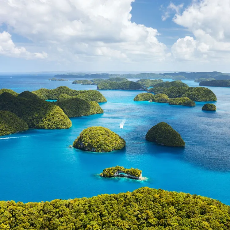 自由行部分推薦「帛琉輕奢自由行」4日每人18900元起。雄獅提供