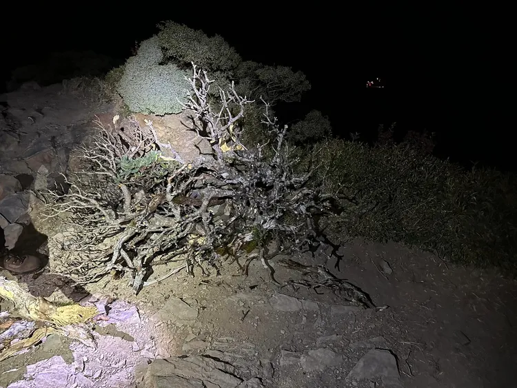 翻攝「合歡山系(台14、台8、台7甲)路況氣候雪況星況分享」臉書