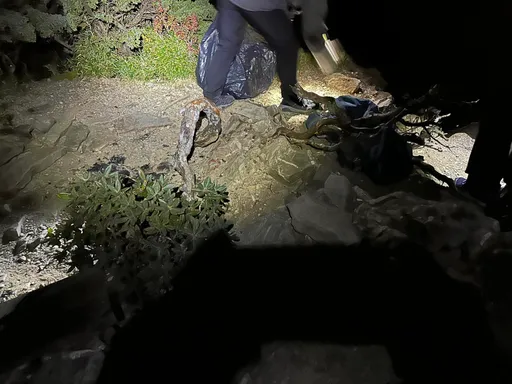 外國人登合歡東峰「砍高山杜鵑」生火 9人被送辦!山友怒:台灣不歡迎廢物