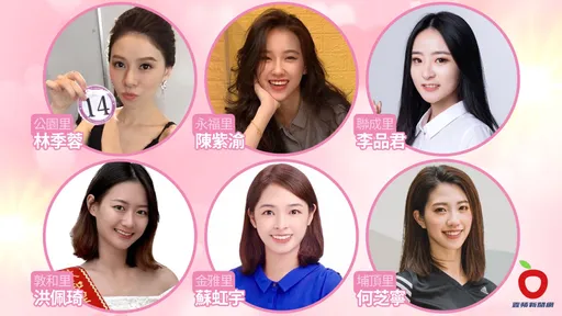 最美里長圖鑑!10大正妹有6個選上 網友嗨了:不知要搬去哪?