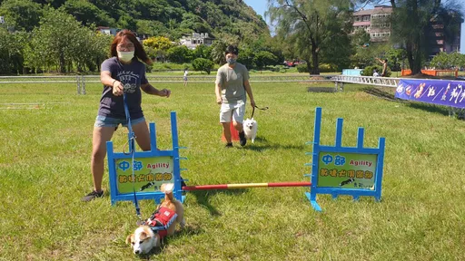 基隆首座寵物公園選址暖暖　毛孩有福啦！預計明年6月完工