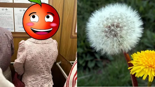 阿姨這頭髮厲害了！4萬人看呆「蒲公英燙」：求髮型師大名