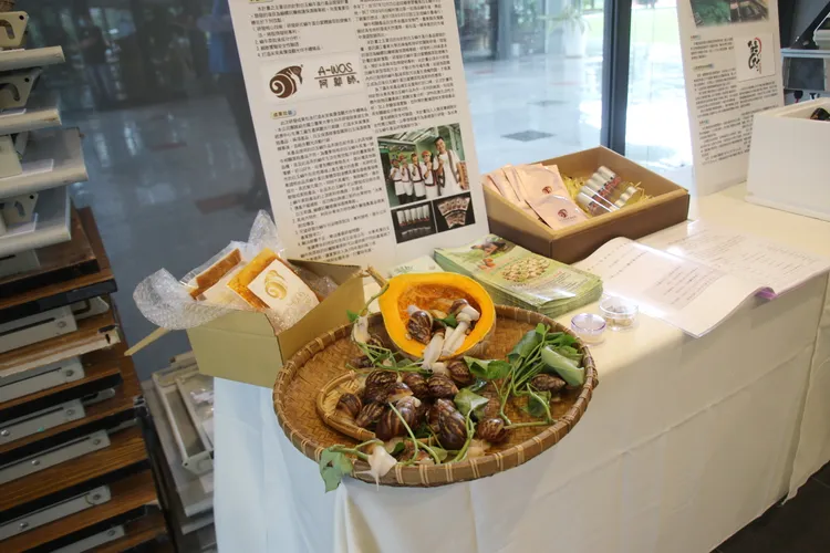 創業團隊分享。台東縣府提供