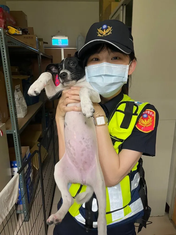 正妹女警蔡雅安。警方提供