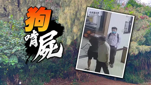 台南狗啃屍斷手缺腿肉!檢複驗死者右胸遭穿刺傷 自首男稱槍殺遭羈押