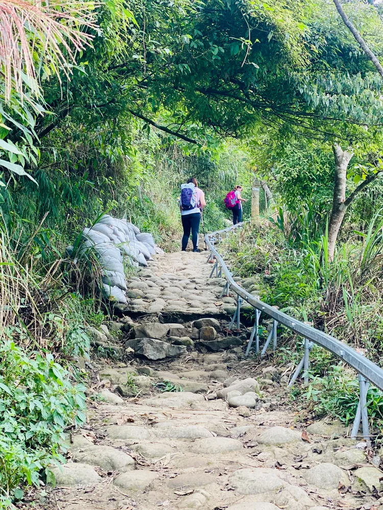 大凍山步道整修期間仍開放健行，適時聽取山友意見。王志弘攝