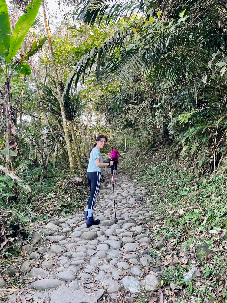 步道採取生態工法修建，獲山友好評。王志弘攝