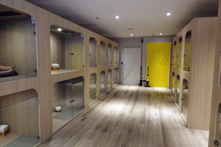 寵物旅館空間乾淨明亮。張哲鳴攝